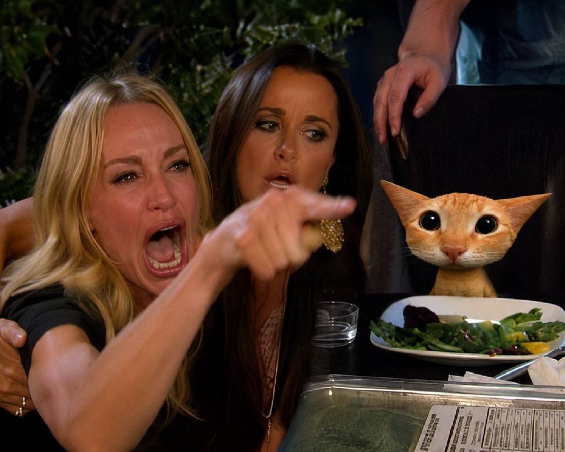 The woman yelling at a cat meme, with the cat replaced by a low-poly cat