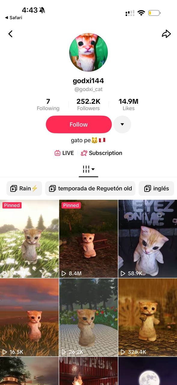 Creator profile with 252.2K followers and 14.9M likes, showing a grid of low-poly cat videos